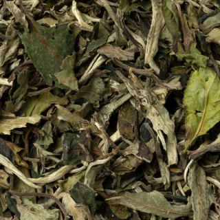 Pai Mu Tan 30g