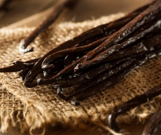 Vanilka Bourbon 1 lusk