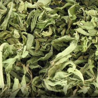 Verbena citronová 40g